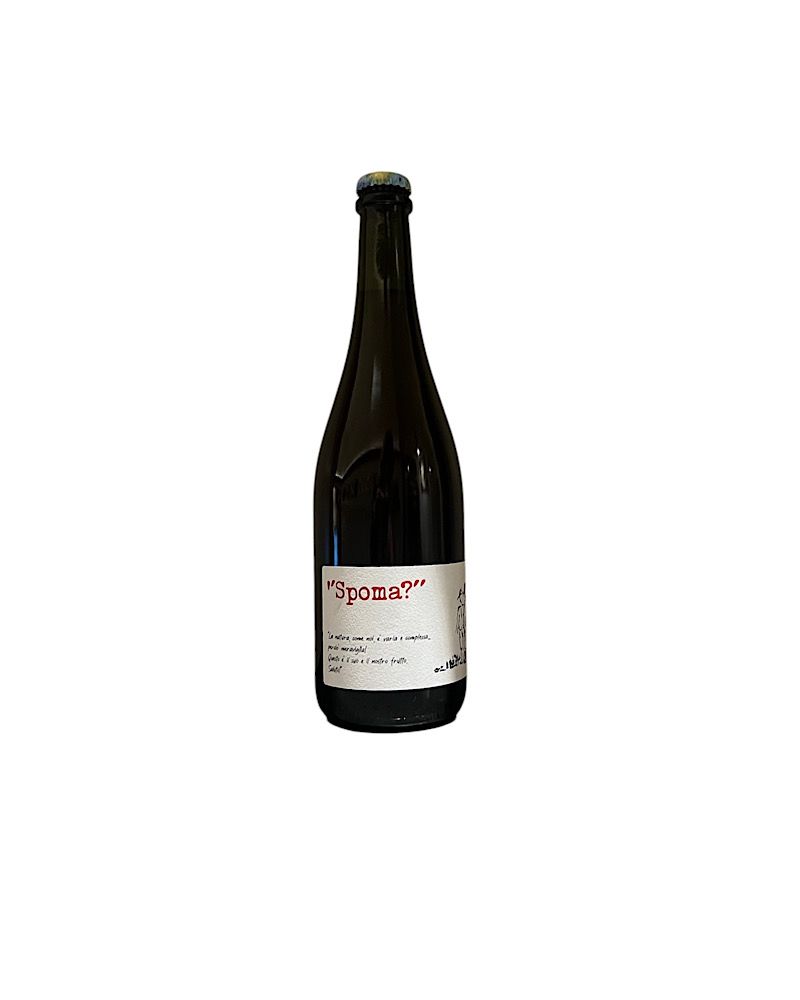 Spoma Emilia Lambrusco Rosato Frizzante igt Angol d'Amig 2024