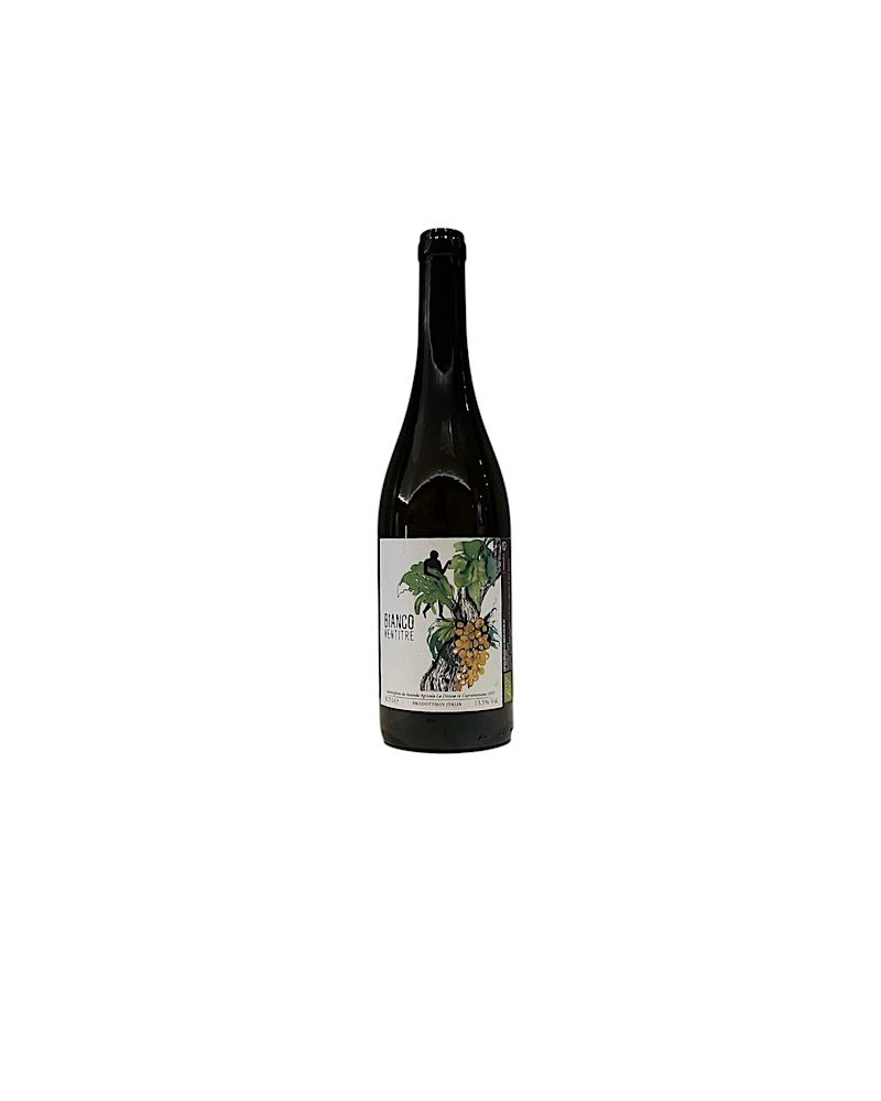 Vino Bianco Ventitre La Distesa 2023