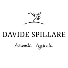 Davide Spillare