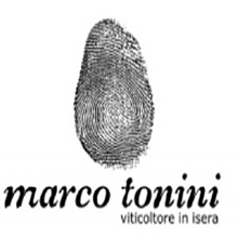 Marco Tonini